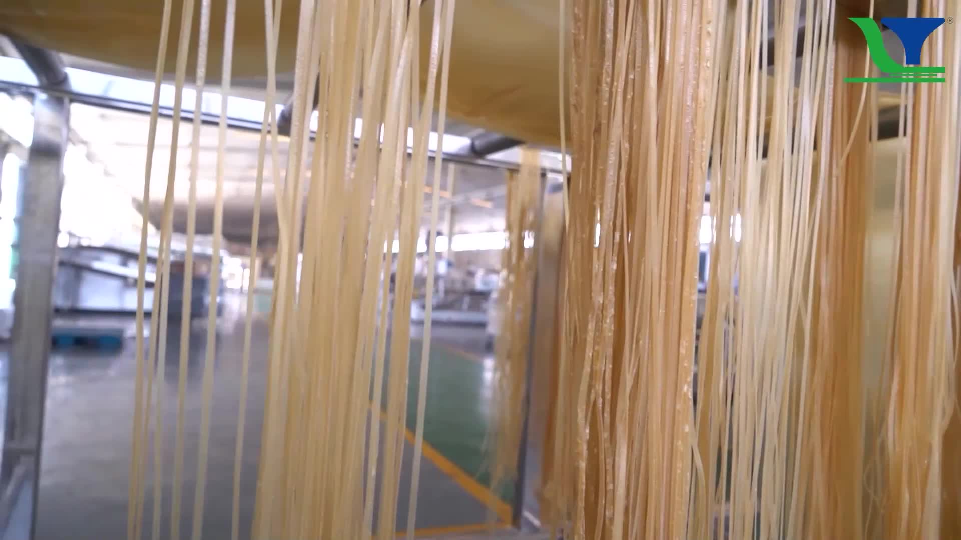 Pasta Macaroni Vermicelli Instant Noodle Process Line.mp4