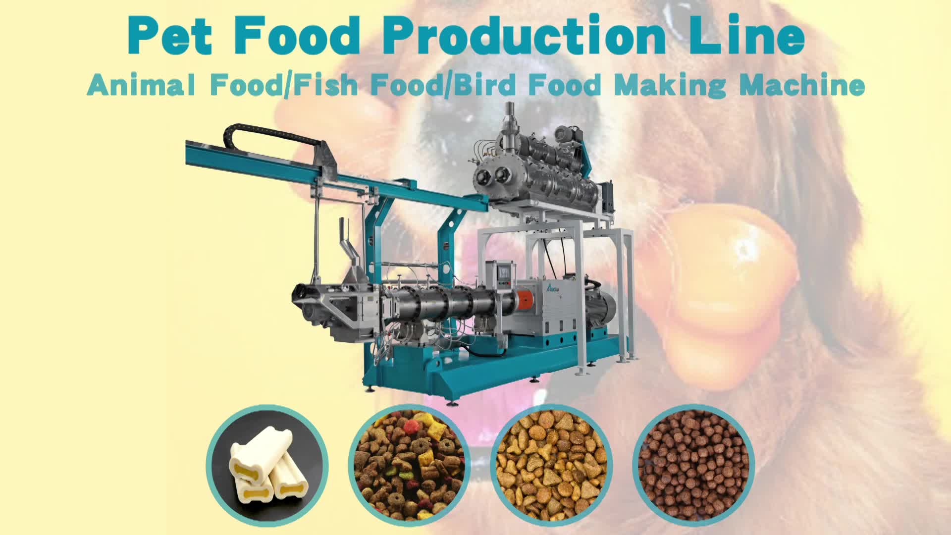 خط إنتاج أغذية الحيوانات الأليفة 3.mp4