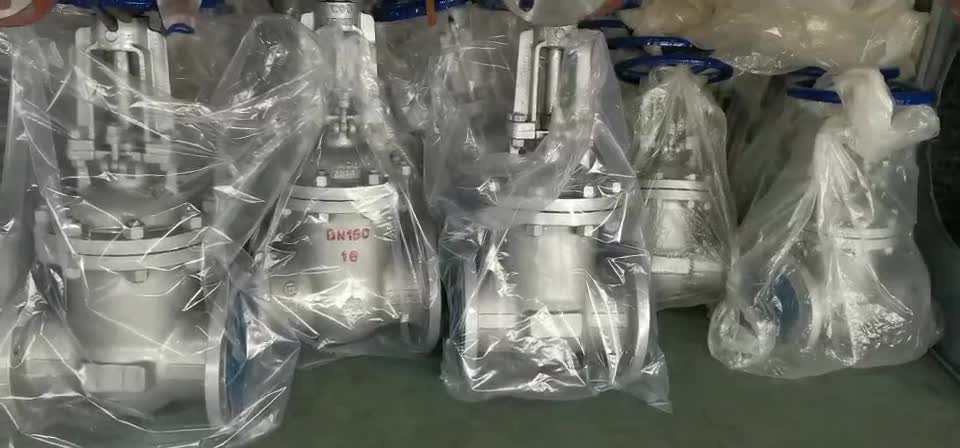 Carbon steel flange gate valve exported to Russia.mp4